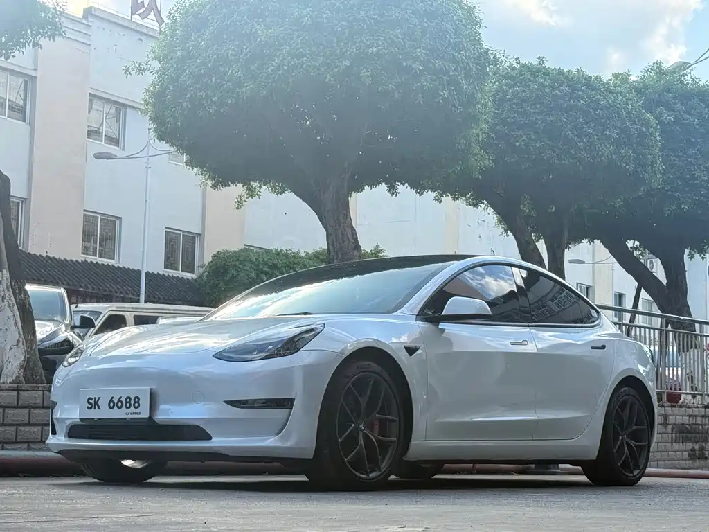 Tesla Model 3 2021