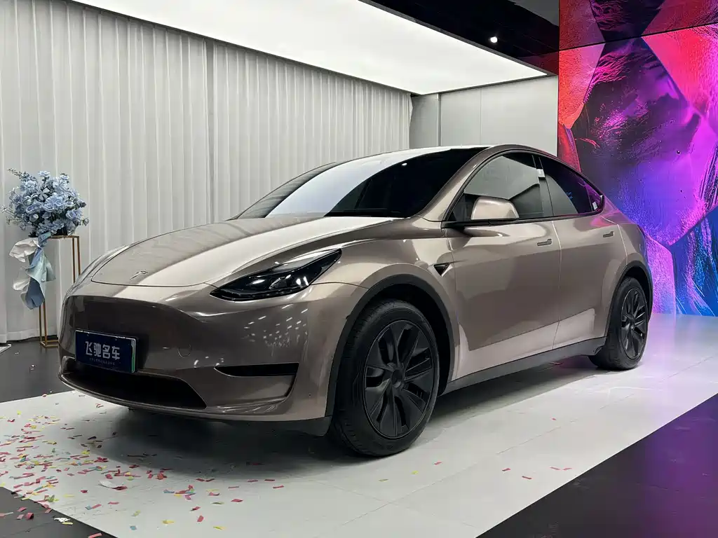 Tesla Model Y 2024
