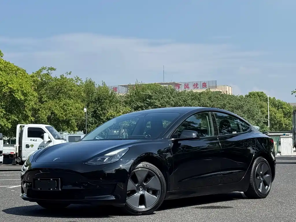 Tesla Model 3 2021