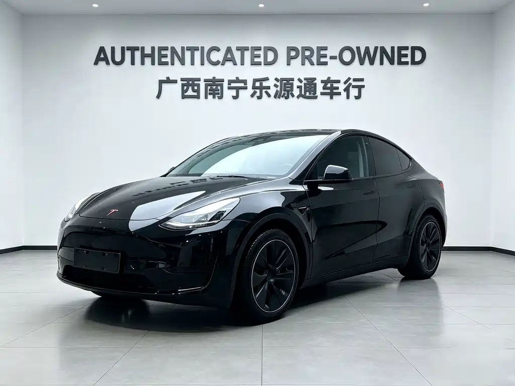 Tesla Model Y 2021